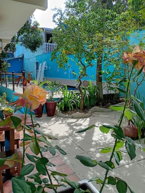 thumbnail: Garden