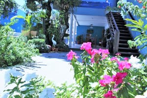 thumbnail: Garden