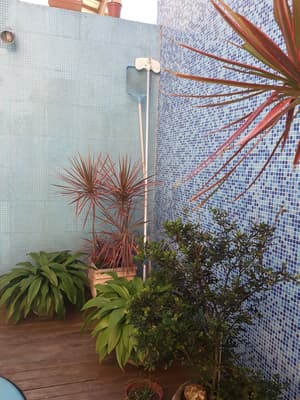 thumbnail: Garden