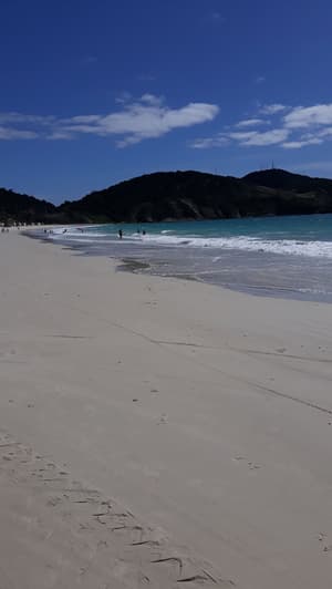thumbnail: Beach