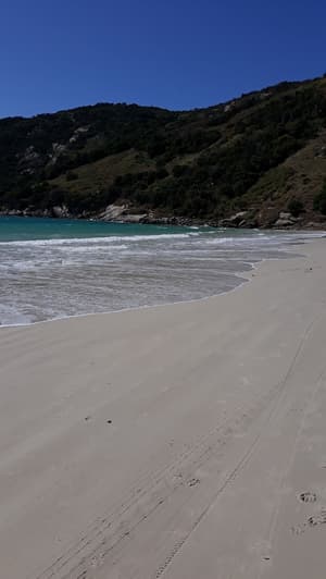 thumbnail: Beach