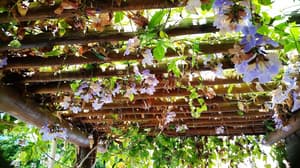 thumbnail: Interior