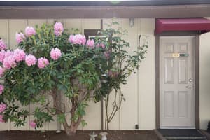 thumbnail: Exterior detail