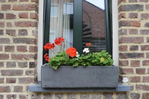 thumbnail: Exterior