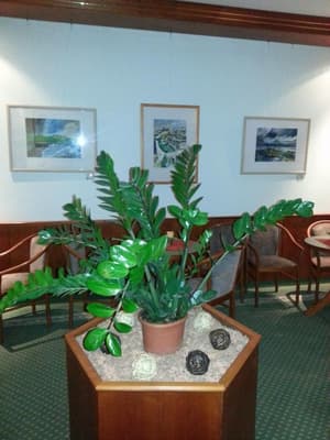 thumbnail: Interior