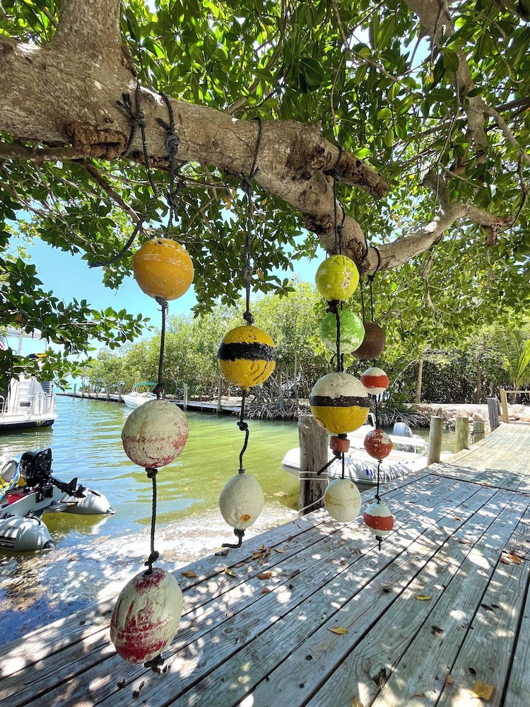 Dock