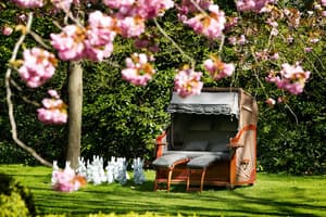 thumbnail: Terrace/patio