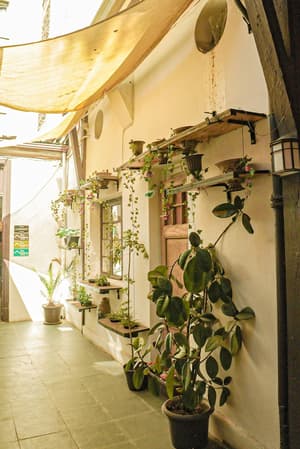 thumbnail: Exterior
