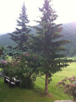 thumbnail: View from property