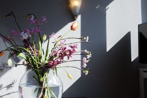 thumbnail: Interior detail