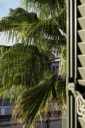 thumbnail: Exterior