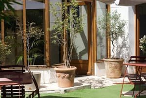 thumbnail: Garden