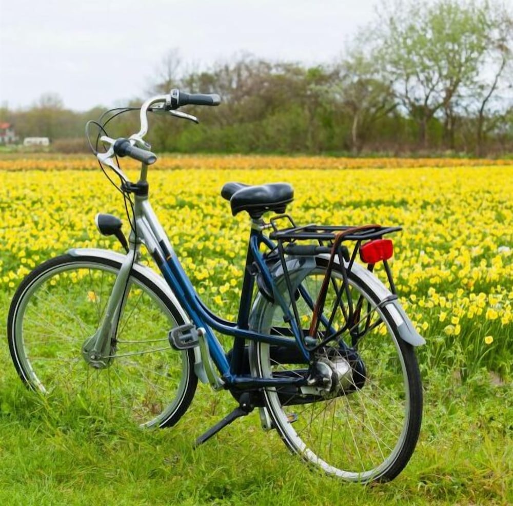 Bicycling