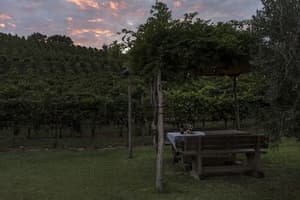 thumbnail: BBQ/picnic area