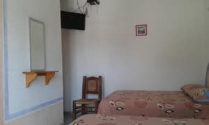 thumbnail: 55979874.jpg