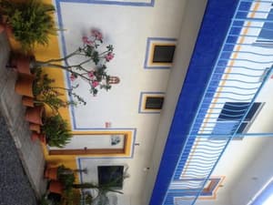 thumbnail: 55980025.jpg