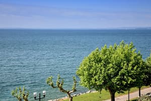 thumbnail: View from property