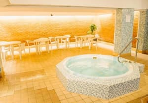thumbnail: Indoor spa tub