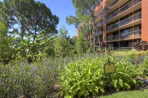 thumbnail: Garden