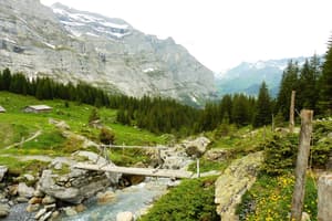 thumbnail: Hiking