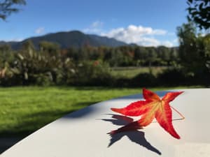 thumbnail: Terrace/patio