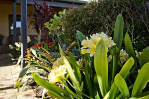 thumbnail: Garden