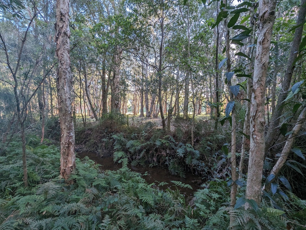 Garden view