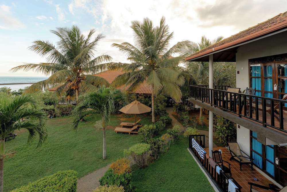 Garden view