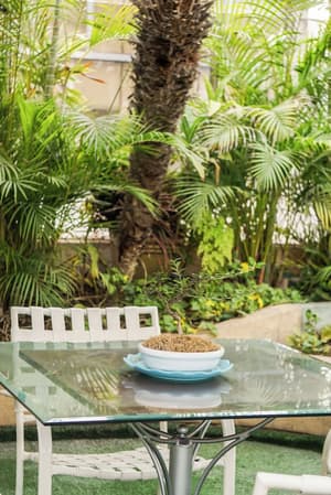 thumbnail: Terrace/patio