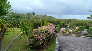 thumbnail: View from property