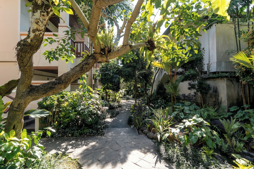 Garden view