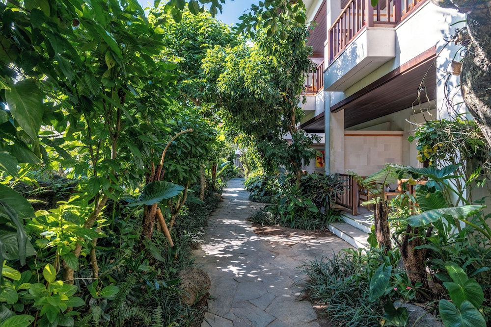 Garden view