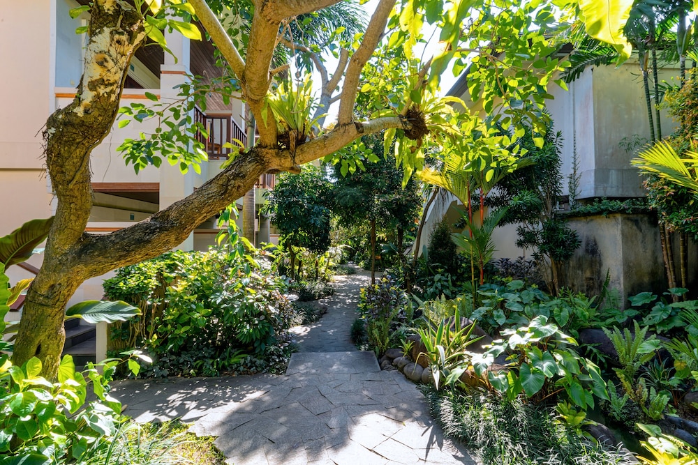 Garden view