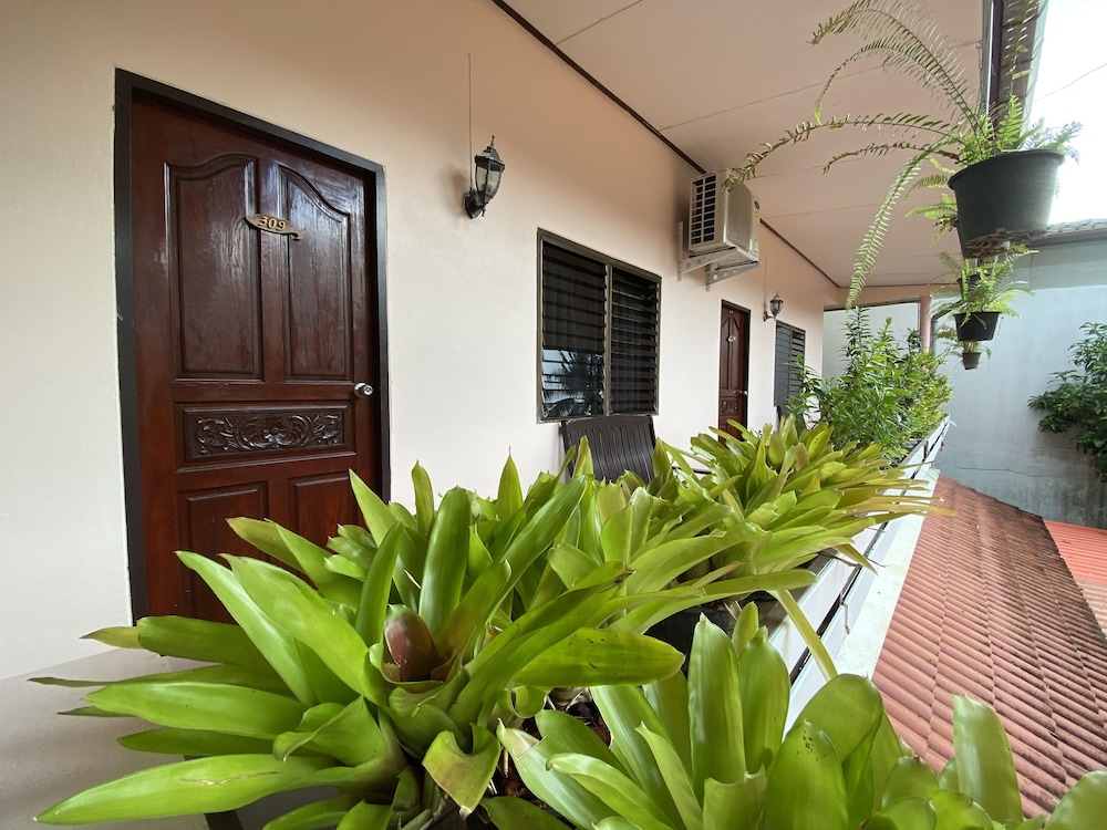 Garden view