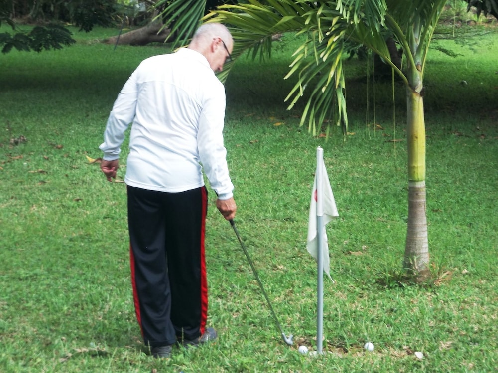 Mini-golf