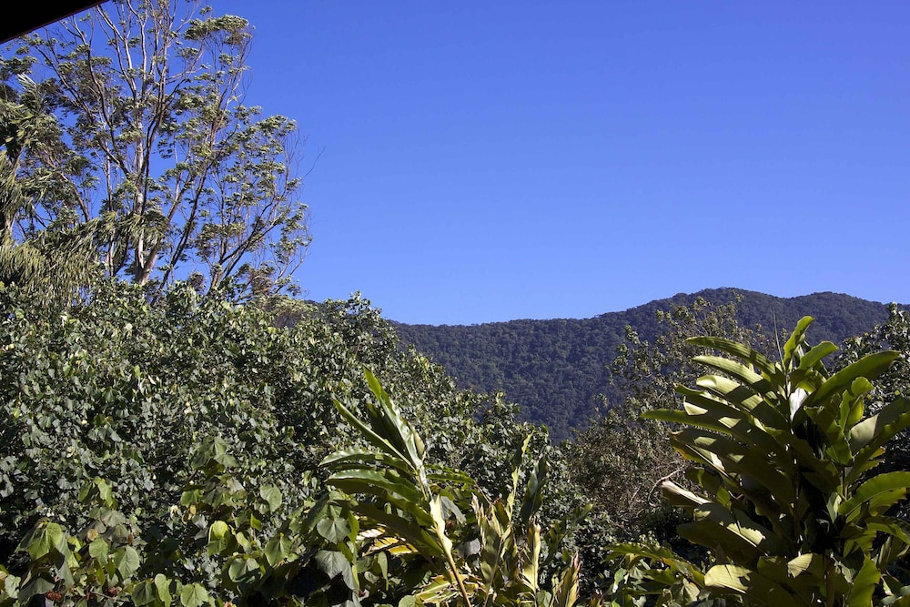 Land view from property