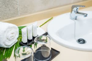 thumbnail: Bathroom amenities