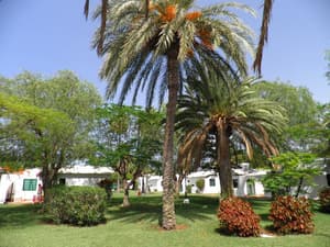 thumbnail: General view