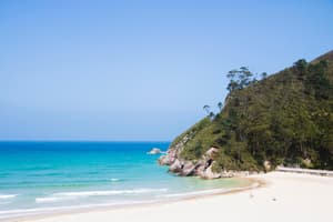 thumbnail: Beach