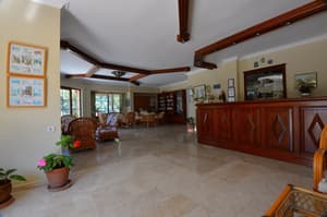 thumbnail: Reception