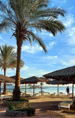 thumbnail: Beach