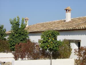 thumbnail: Exterior