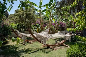 thumbnail: Garden view