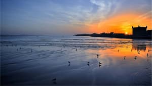 thumbnail: Beach