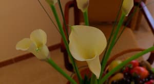 thumbnail: 77432839.jpg