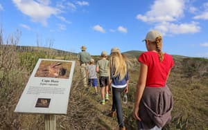 thumbnail: Children's activities