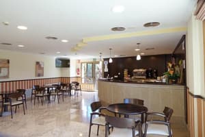 thumbnail: General view
