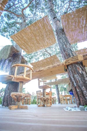 thumbnail: Bar (on property)