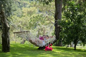 thumbnail: Garden