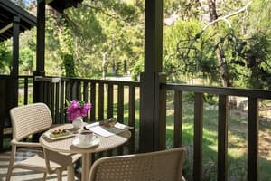 thumbnail: Terrace/patio